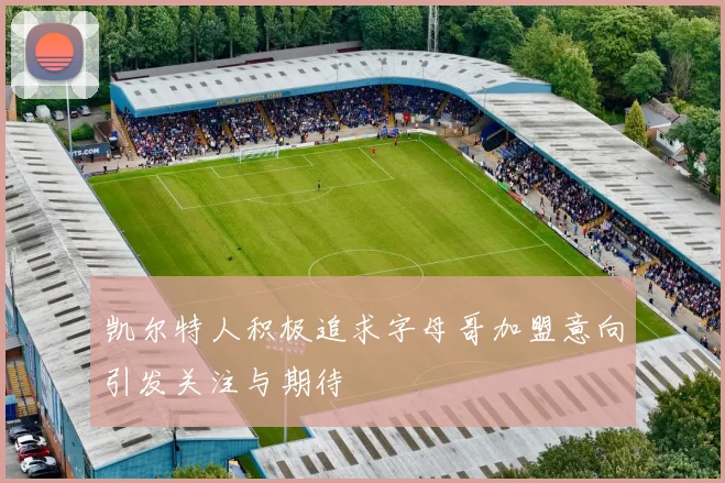 凯尔特人积极追求字母哥加盟意向引发关注与期待